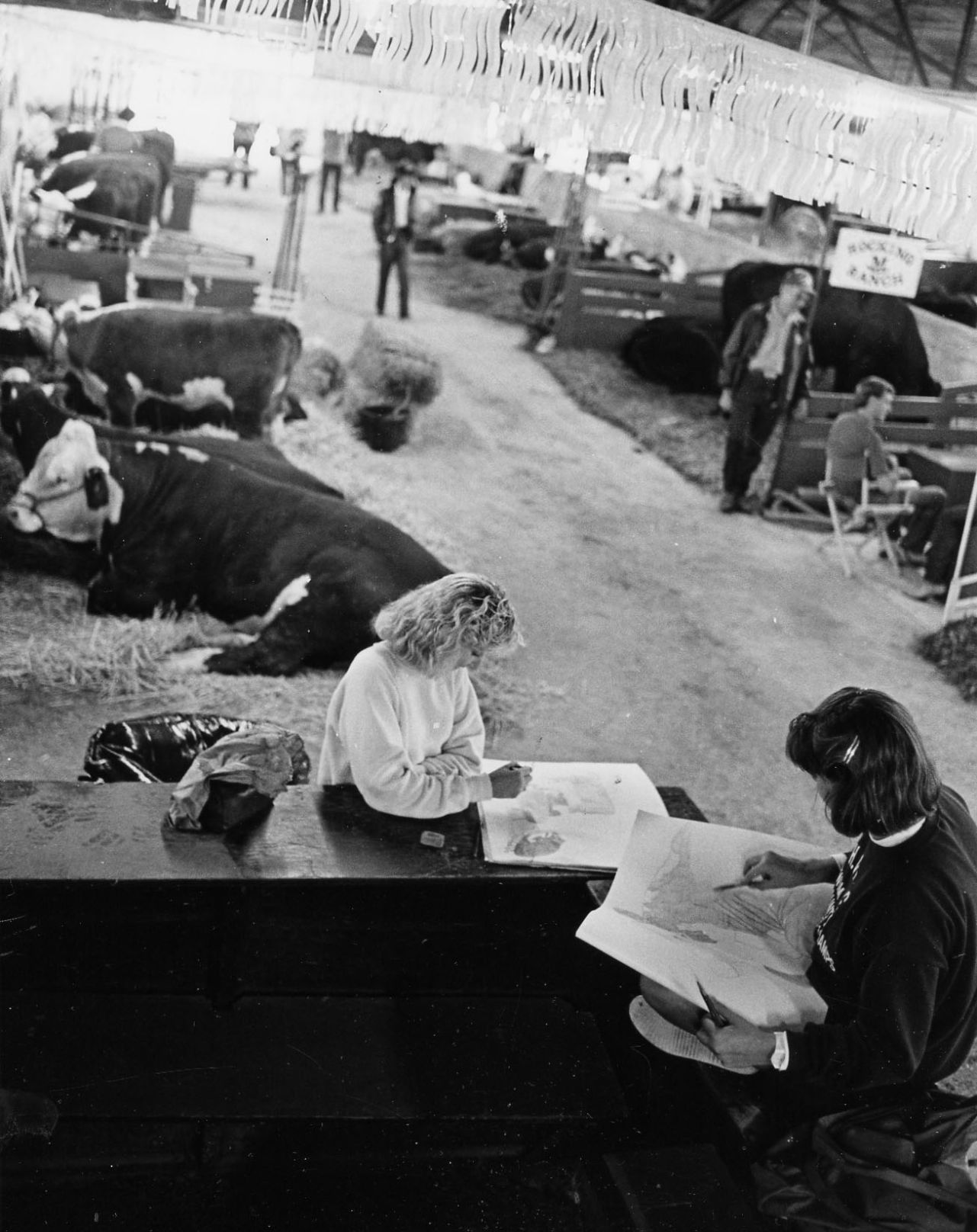 Fairs Dixie Classic54.jpg